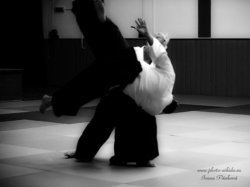 Zakladní kurz aikido - trénink